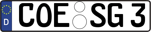 COE-SG3