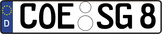 COE-SG8