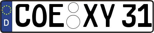 COE-XY31