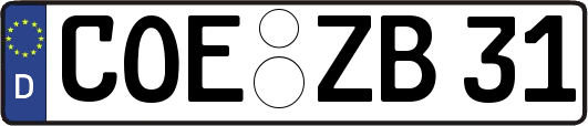 COE-ZB31