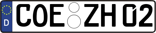 COE-ZH02