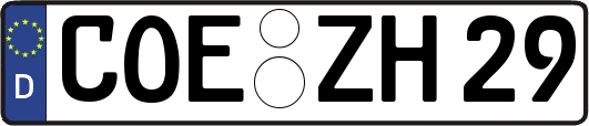 COE-ZH29