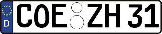 COE-ZH31