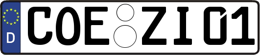 COE-ZI01
