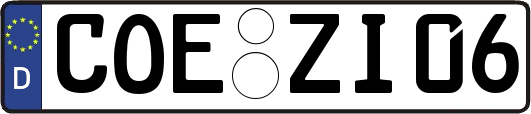 COE-ZI06