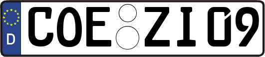 COE-ZI09