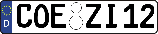 COE-ZI12