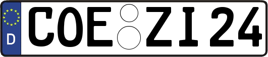 COE-ZI24