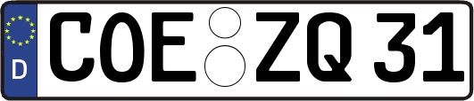 COE-ZQ31