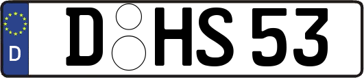 D-HS53