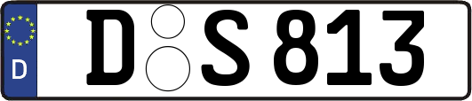 D-S813