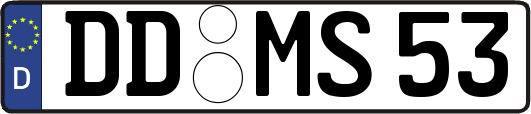 DD-MS53