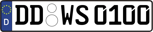 DD-WS0100