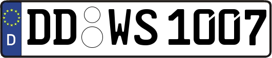 DD-WS1007
