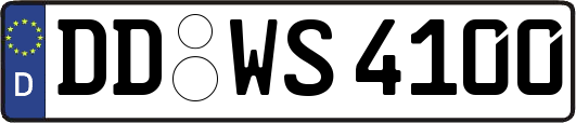 DD-WS4100