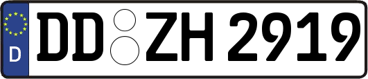 DD-ZH2919