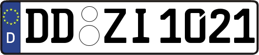 DD-ZI1021