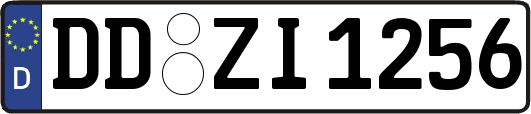 DD-ZI1256