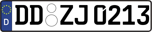 DD-ZJ0213