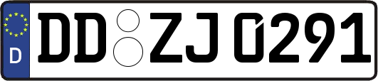 DD-ZJ0291
