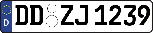 DD-ZJ1239