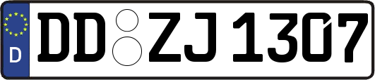 DD-ZJ1307