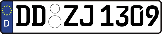 DD-ZJ1309