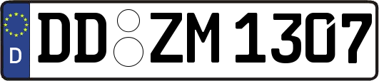 DD-ZM1307