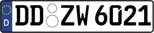 DD-ZW6021
