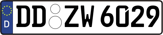 DD-ZW6029