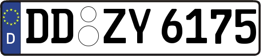 DD-ZY6175