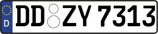 DD-ZY7313