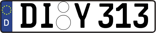 DI-Y313