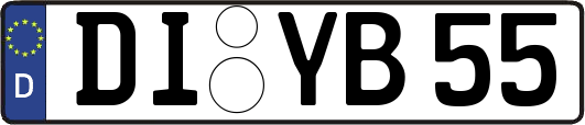 DI-YB55