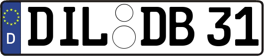 DIL-DB31