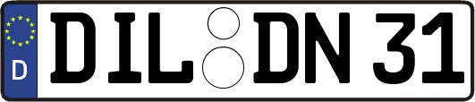 DIL-DN31