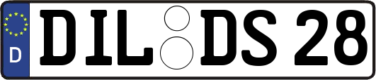 DIL-DS28