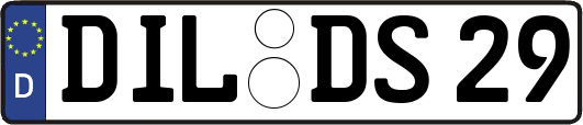 DIL-DS29
