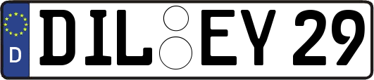 DIL-EY29