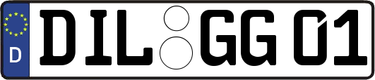 DIL-GG01