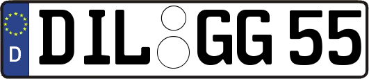 DIL-GG55