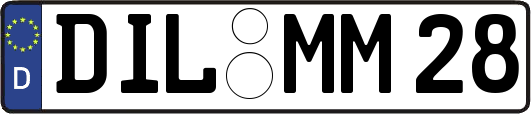 DIL-MM28