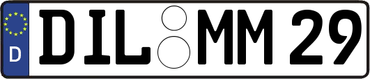 DIL-MM29
