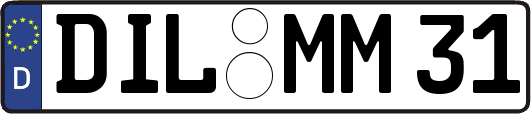 DIL-MM31