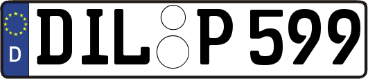 DIL-P599
