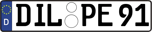 DIL-PE91