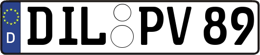 DIL-PV89