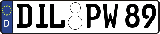 DIL-PW89
