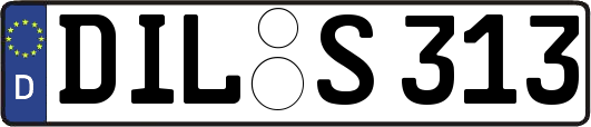 DIL-S313