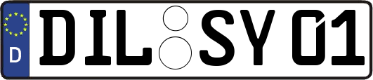 DIL-SY01